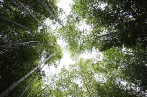 暗号資産と積立NISAのメリット比較はどちらが有利？