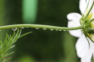 積立NISAの金利低下に対する効果的な対処法は？