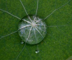 積立NISAの金利低下に対する最適な対処法は？
