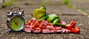 主婦がNISAを利用できるのは何歳まで？
